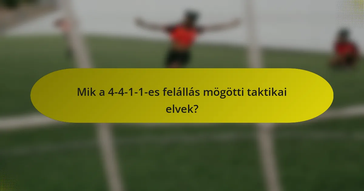 Mik a 4-4-1-1-es felállás mögötti taktikai elvek?